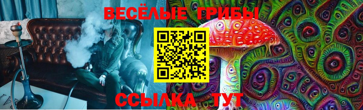 Галлюциногенные грибы Cubensis  Галлюциногенные грибы Psilocybine cubensis  Краснотурьинск  Вход с VPN 