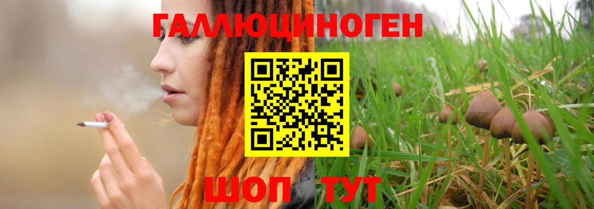 Псилоцибиновые грибы ЛСД Краснотурьинск
